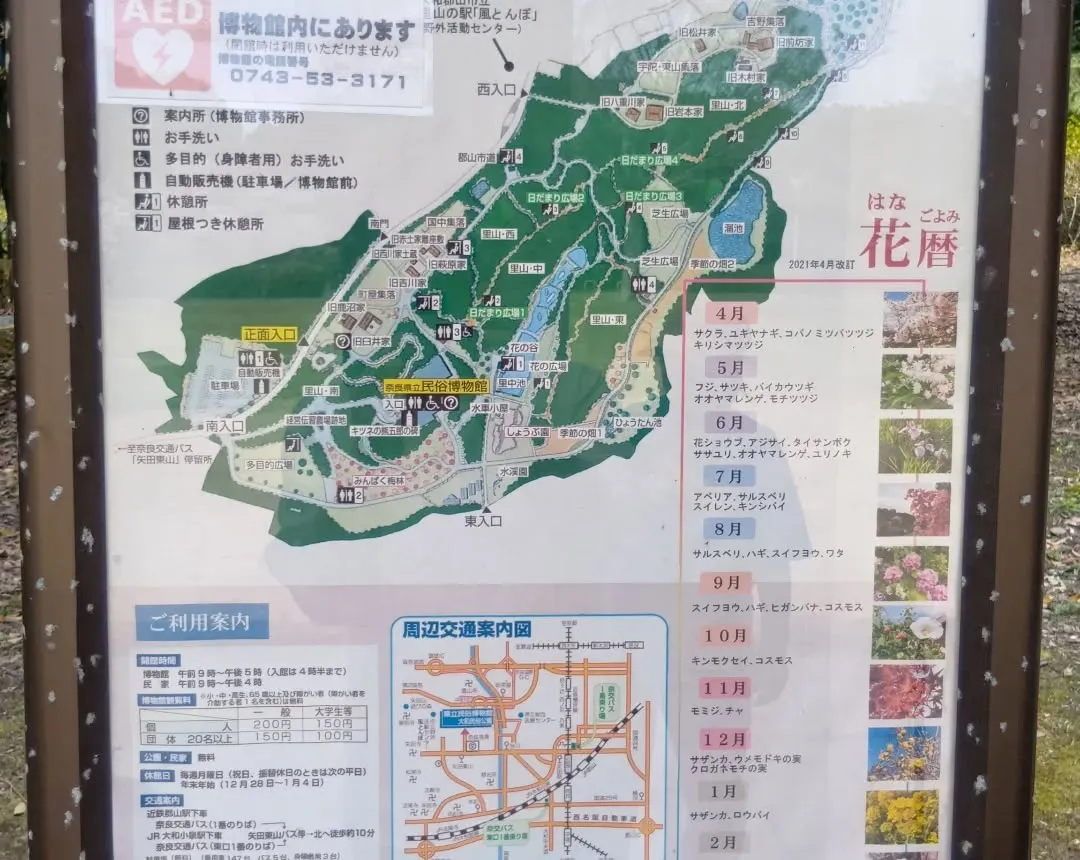 3/30 午後から大和民俗公園へお花見に行きました🌸