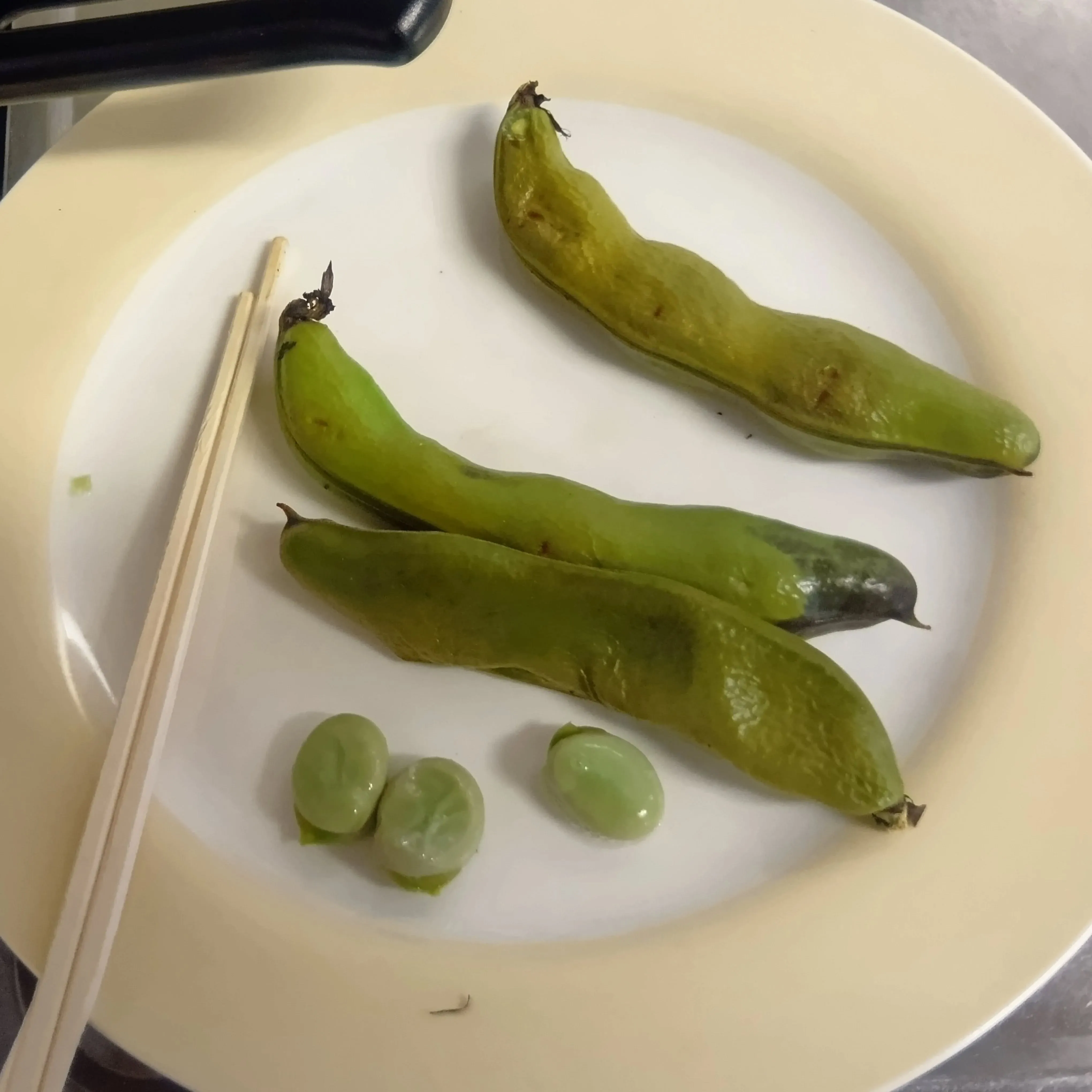4/30 そら豆🫛の収穫をしました🧺