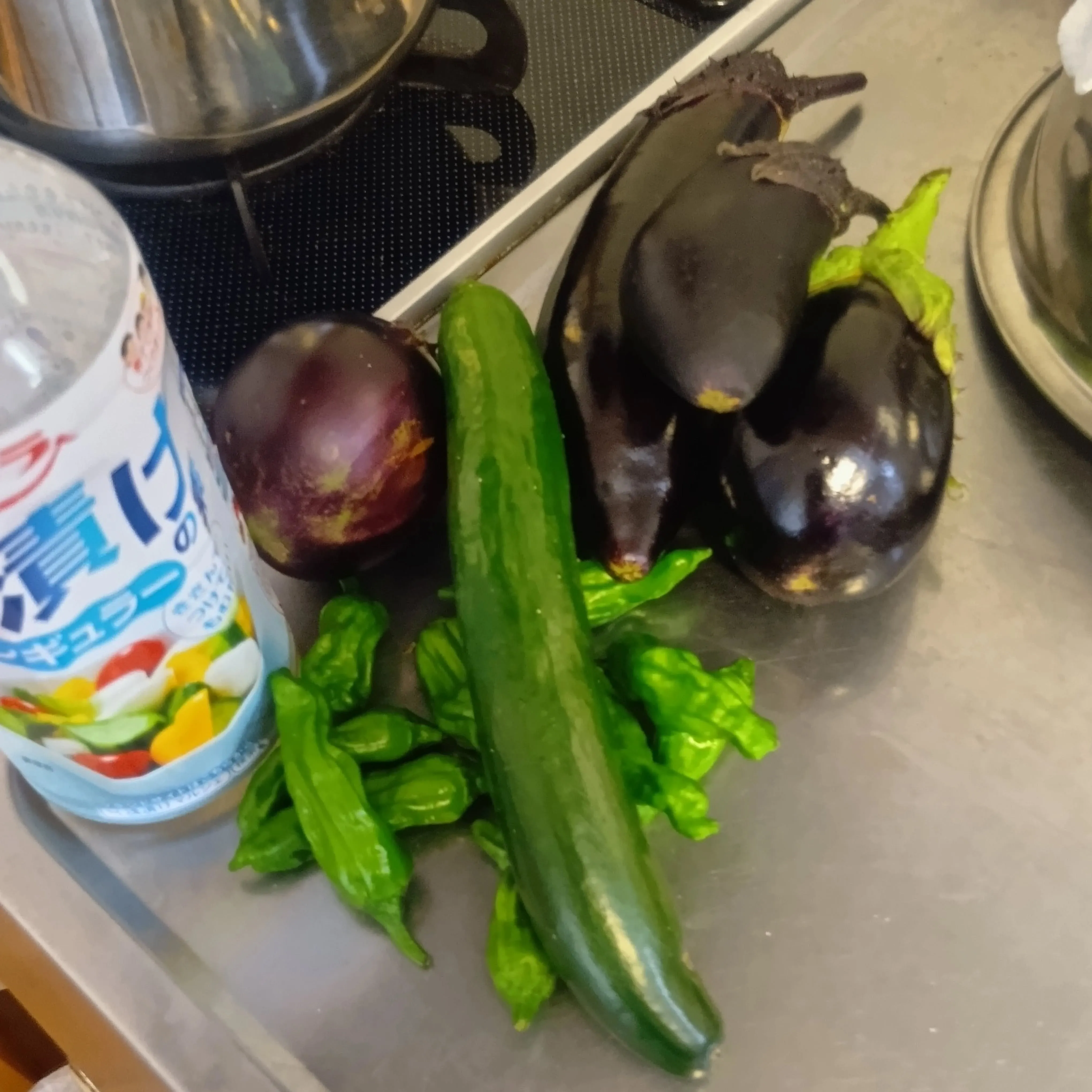 6/4 夏野菜の初収穫しました🍆🥒