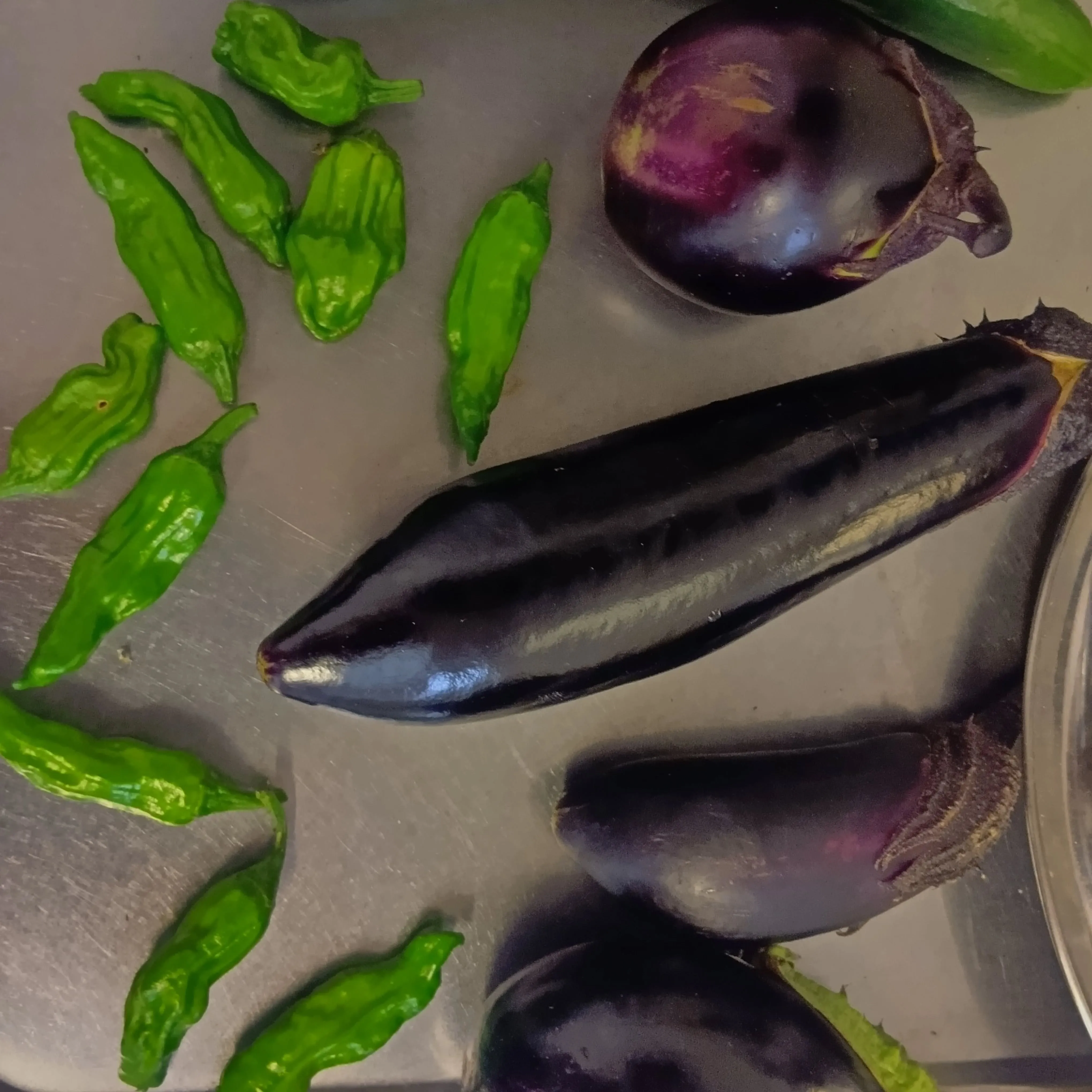 6/4 夏野菜の初収穫しました🍆🥒
