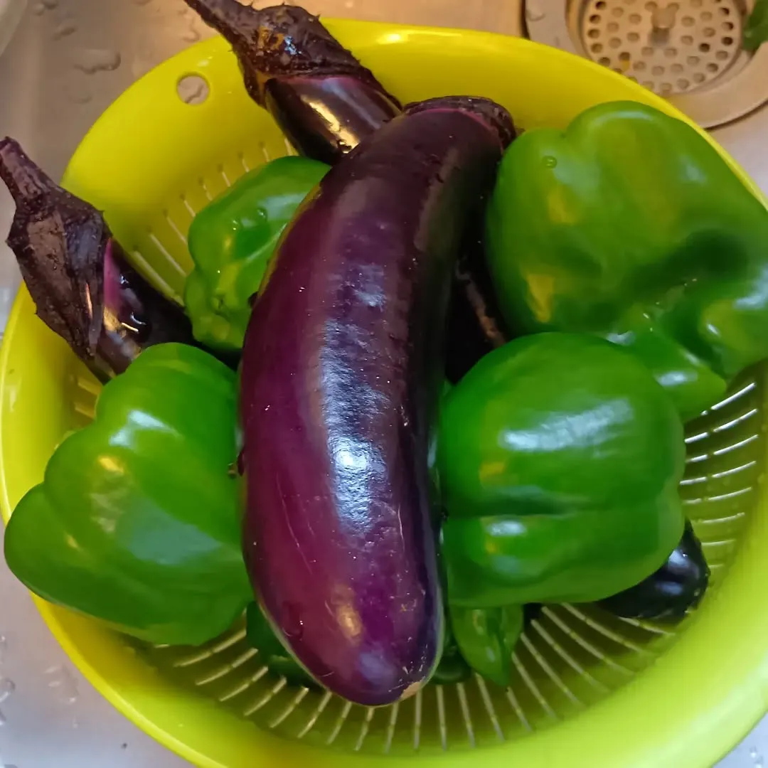 7/10 夏野菜がたくさん収穫できました🧺