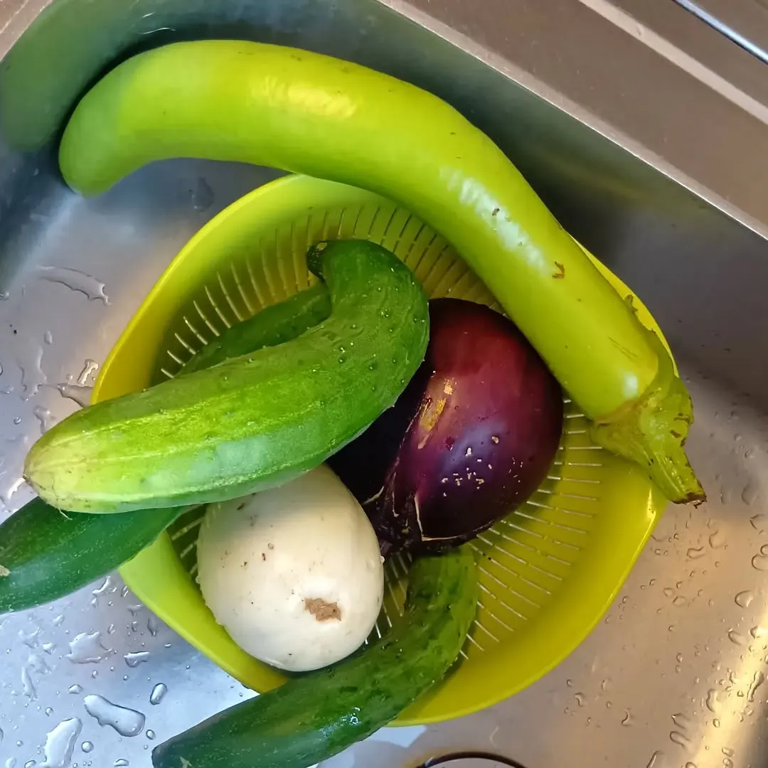 7/10 夏野菜がたくさん収穫できました🧺