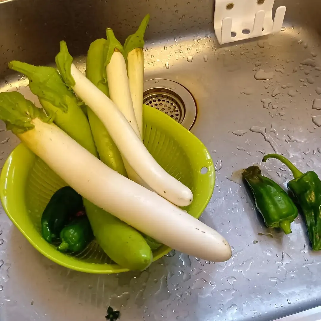 7/10 夏野菜がたくさん収穫できました🧺